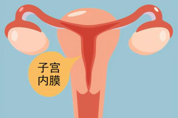 武汉最新代生套餐 2023年武汉普仁医院试管婴儿成功率： ‘彩超孕囊大小看男女