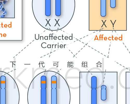 【保定供卵试管 甘肃供卵试管】宫外孕再次怀孕,满满的正能量(上)