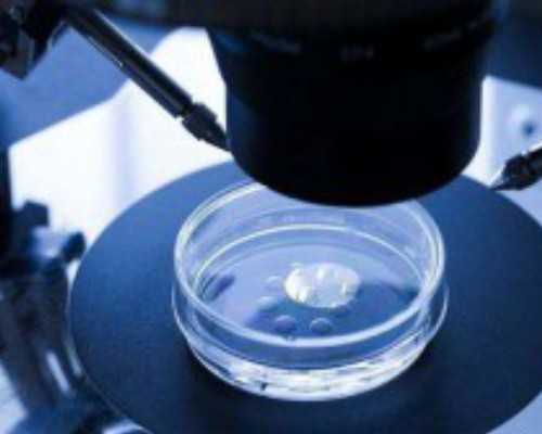 甘肃供卵的流程 甘肃省新冠疫苗预约方法 ‘双胞胎孕囊看男女超准’