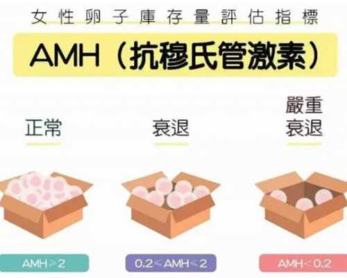 广州金贝供卵多少钱,2026广州私立靠谱且有三代供卵试管资格医院多吗?_2026年
