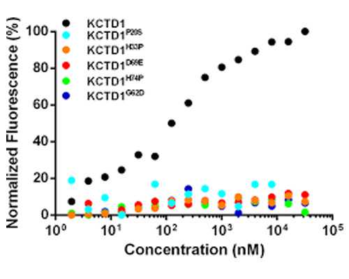 甘肃试管婴儿成功率,2023甘肃试管婴儿医院排名