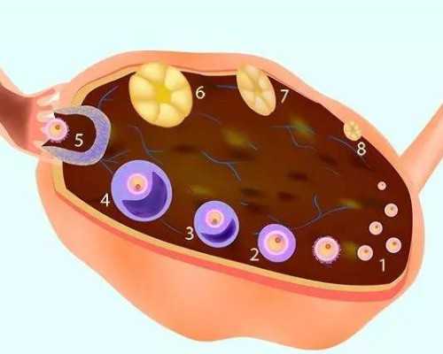 2023年甘肃能做试管双胞胎的医院名单,共有4家医院能够进行