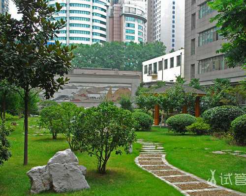 武汉医院借卵试管指南,武汉助孕医院(武汉试管助孕医院)