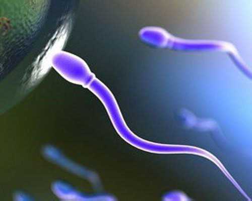 武汉专业代孕多少钱|武汉供卵三代生子,武汉供卵借腹生子