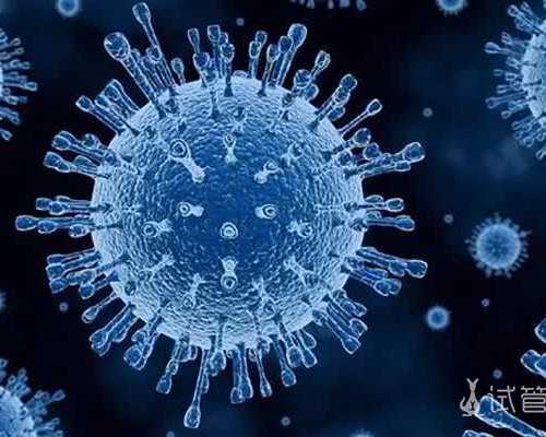 2023北京三代试管借卵代怀生男孩单周费用明细一览：第三方助孕价格明细一览