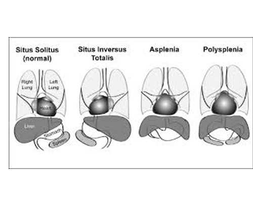 武汉哪家正规助孕机构做供卵试管比较好？,武汉供卵试管哪家专业？武汉供卵
