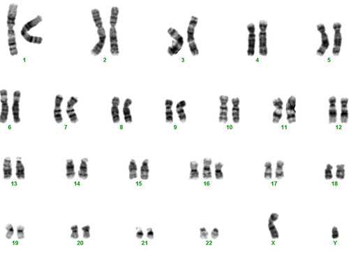 杭州代孕产子qq群 杭州生育津贴包括什么？ ‘100天b超看性别是男孩’