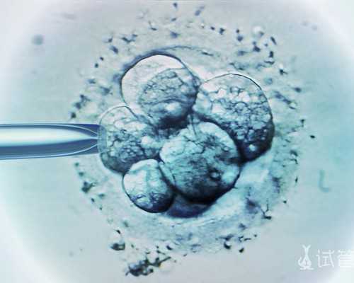 2022甘肃试管婴儿医院排名,甘肃试管婴儿费用