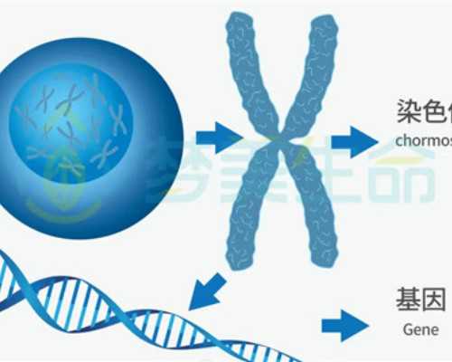 三代试管知识科普：高龄怀孕背后的真相