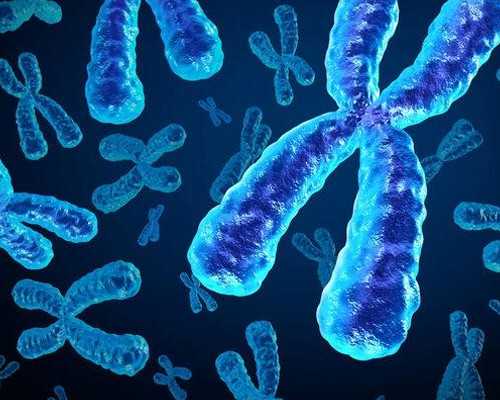 武汉三代试管中介,湖北武汉三代试管助孕中介哪家好