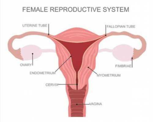 武汉最大的助孕公司优贝贝怎么找,武汉最大的助孕公司
