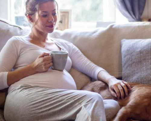 深圳供卵试管可以包成功吗,深圳北大不排队做供卵三代试管婴儿费用明细是怎