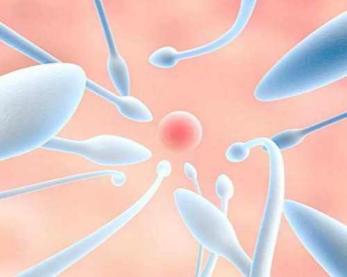 武汉哪里代怀好,武汉供卵是第几代试管,武汉供卵三代试管