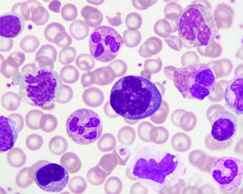 甘肃人工受精医院哪家甘肃中山医院有供卵试管吗好