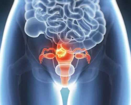 武汉试管婴儿费用(2023武汉中南医院试管婴儿费用明细表)