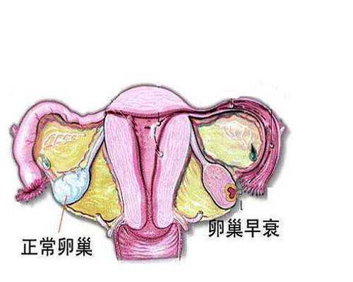 武汉十大试管婴儿医院排名?如何选择武汉试管婴儿医院?
