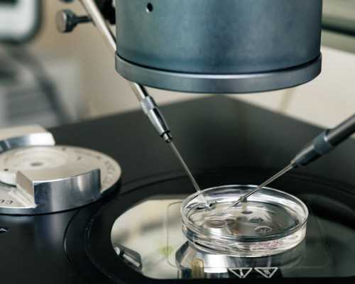 香港dna验血鉴定男女流程一览