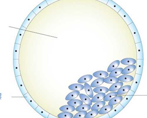 甘肃供精人授成功案例,1999年——甘肃迎来首例试管三代宝宝