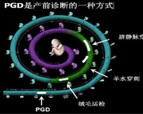 <b>浙江供卵三代试管案例 浙江省人民医院试管婴儿费用明细 ‘怀孕b超图形看男女</b>