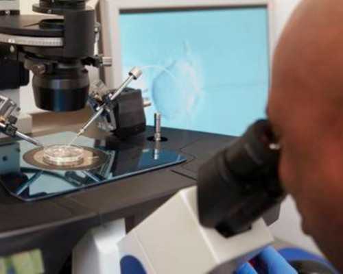 甘肃做试管婴儿生男宝要多少钱？甘肃试管生男孩费用