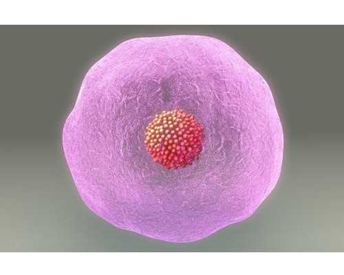 2023甘肃疫苗本怎么办理,甘肃疫苗本丢失怎么补办