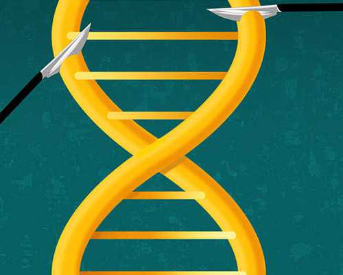 兰州代孕代孕哪家好|石家庄省二院试管婴儿费用(石家庄省二院试管婴儿医生