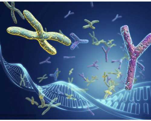 武汉供卵哪里好|都羡慕别人家龙凤胎儿女双全，那么武汉助孕试管婴儿双胎生