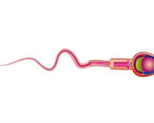 2023
年武汉做试管婴儿纳入医保吗？武汉试管能不能报销？