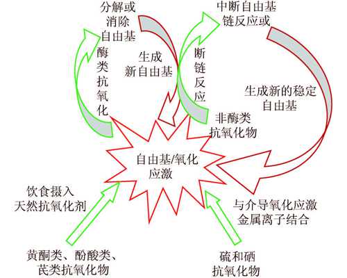 兰州2022代孕动态|第三代试管婴儿就医指南：福州总医院挂号流程须知
