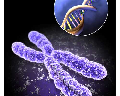 沈阳代怀孕信息 沈阳菁华试管婴儿医院怎么样 ‘b超单子可以看出男女孩吗?’