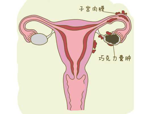 温州代生网价格表 温州治疗不孕不育要多少钱? ‘一百天彩超怎么看男女’