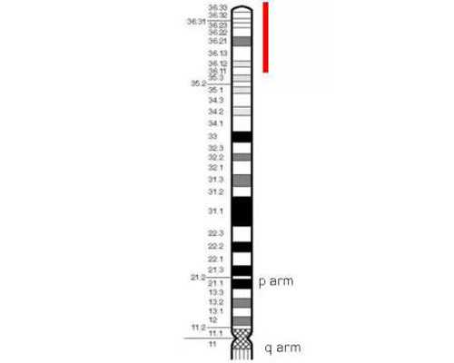 子宫肌瘤手术后多久可以吃蔬菜水果？