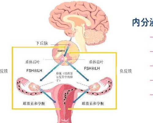 甘肃月子中心哪家好,甘肃治子宫肌瘤哪家医院好