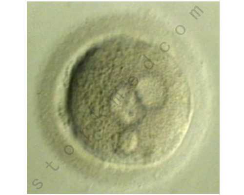 甘肃试管婴儿医院,甘肃三代试管哪些医院(附姐妹经验)