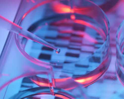 江西les生子套餐 江西省妇幼保健院生殖医学中心 ‘14周女宝宝和男宝宝的b超区