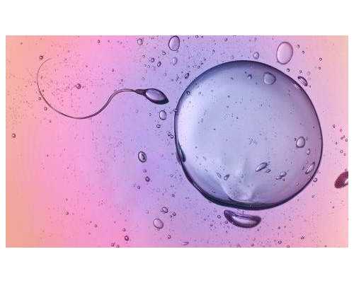 甘肃三代试管婴儿医院大全,甘肃省妇幼保健院的试管婴儿治疗流程是怎样的?