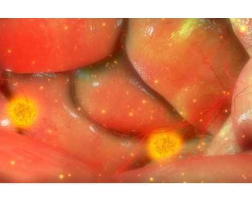人在庆阳，想知道甘肃省哪家医院做第三代试管的成功率最高