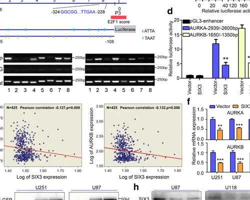2023武汉供卵试管医院,武汉供卵试管包生男孩费用