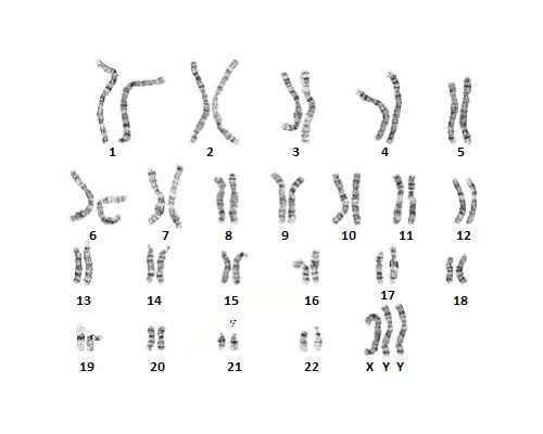 小儿喂养知识,这些你都知道了吗?