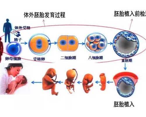 苏州试管代生多少钱医院 苏州私立医院试管三代私立医院试管婴儿能选男女吗
