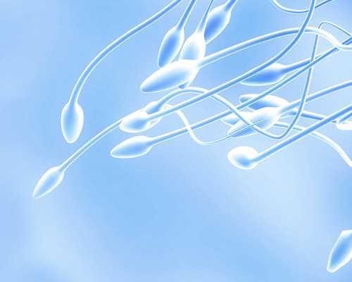 兰州试管医院排名_兰州试管婴儿排名前十