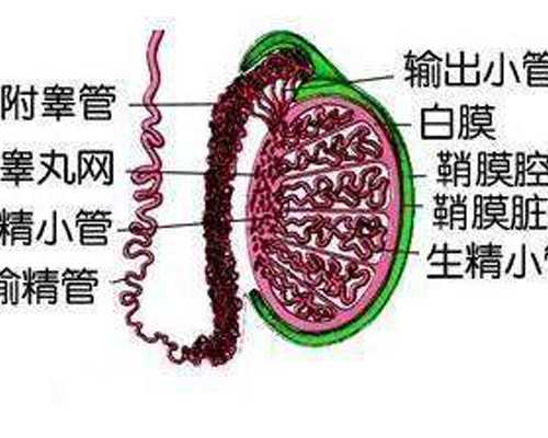 甘肃试管中介公司排名,甘肃集爱遗传与不育诊疗中心介绍?
