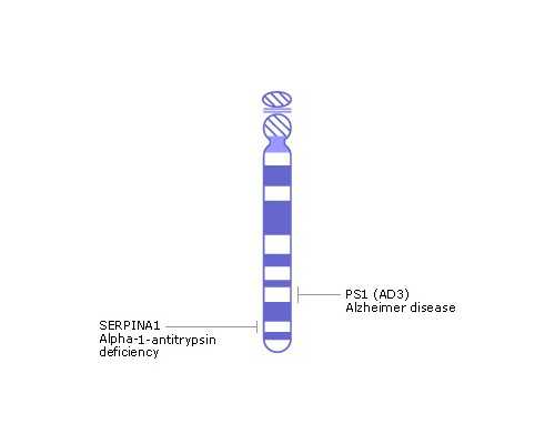 浙江找供卵试管网 2022浙江省立医院试管婴儿患者经验 ‘酒精与晨尿怎么测男女