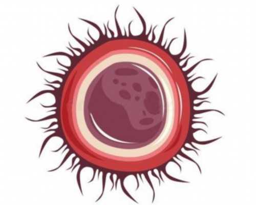 武汉代孕公司,武汉助孕医院(武汉试管助孕医院)