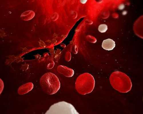 武汉做代孕的公司,武汉供卵试管流程,武汉供卵试管中心