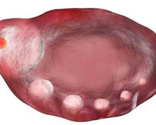 2023
年武汉做试管婴儿纳入医保吗?武汉试管能不能报销?