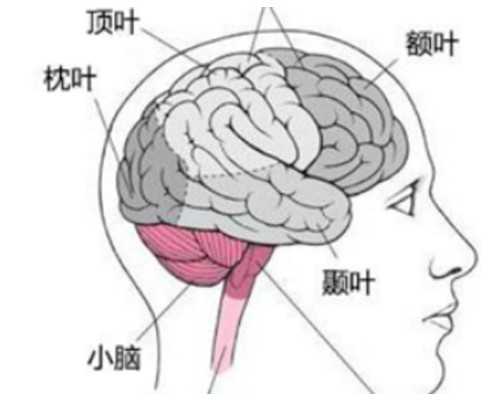 兰州哪家医院供卵 兰州试管医院费用大约是多少 ‘孕妇三维彩超看男女’