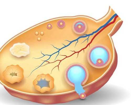 孕早期可以点蚊香吗