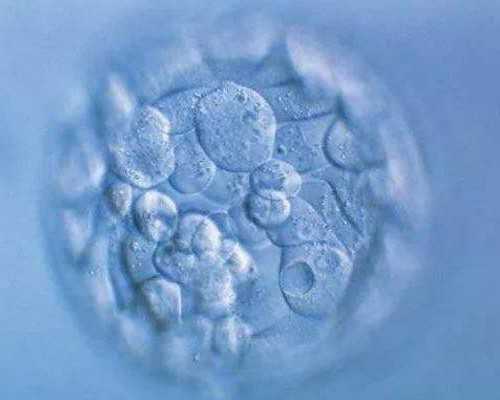 兰州代孕低多少钱吧|本溪试管供卵就来宝来喜助孕