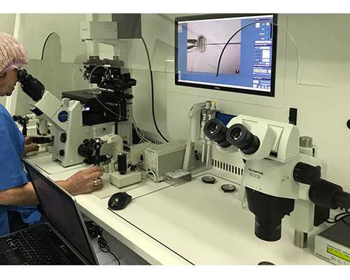 丽水地下供卵试管 丽水人民医院推荐理由 ‘一个月b超单看男女’